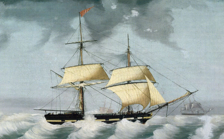 Brig Jane, Harrison Fleet 1836-1849